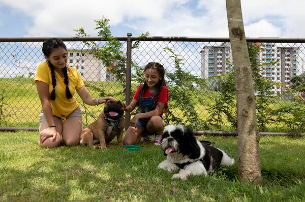 Panamá Pacífico | Training Centers
